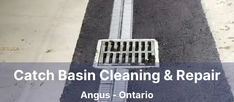  Catch Basin Cleaning & Repair Angus - Ontario