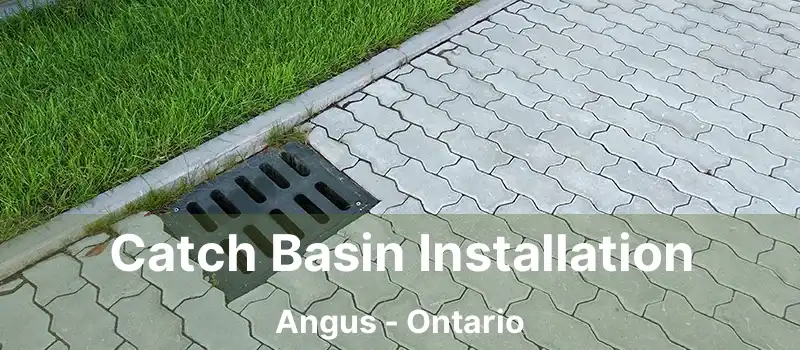  Catch Basin Installation Angus - Ontario