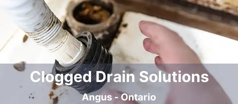  Clogged Drain Solutions Angus - Ontario