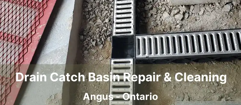  Drain Catch Basin Repair & Cleaning Angus - Ontario