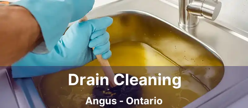  Drain Cleaning Angus - Ontario