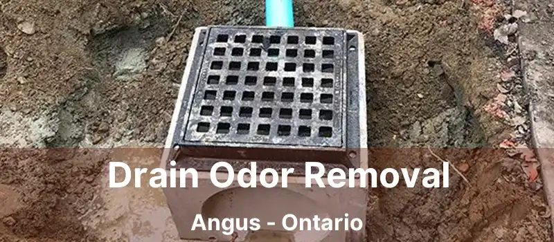 Drain Odor Removal Angus - Ontario