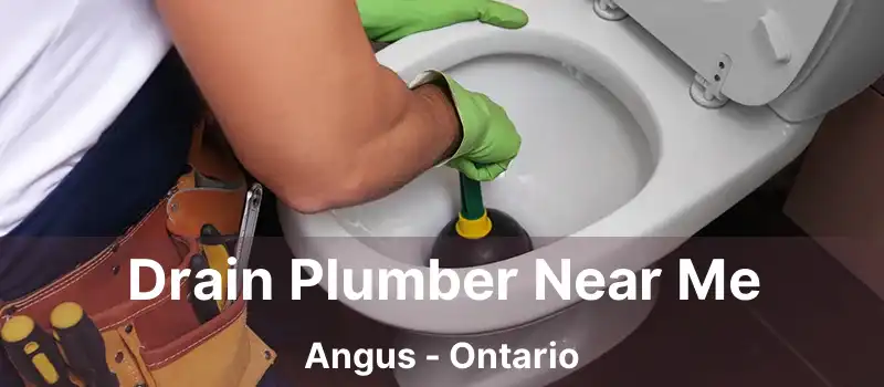  Drain Plumber Near Me Angus - Ontario