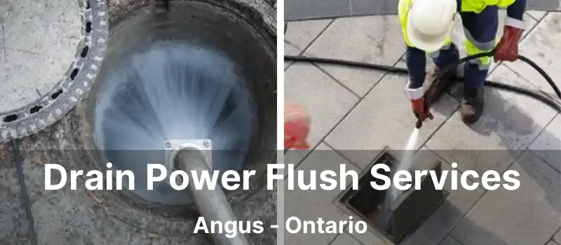  Drain Power Flush Services Angus - Ontario