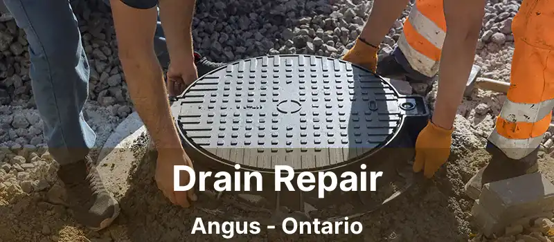 Drain Repair Angus - Ontario