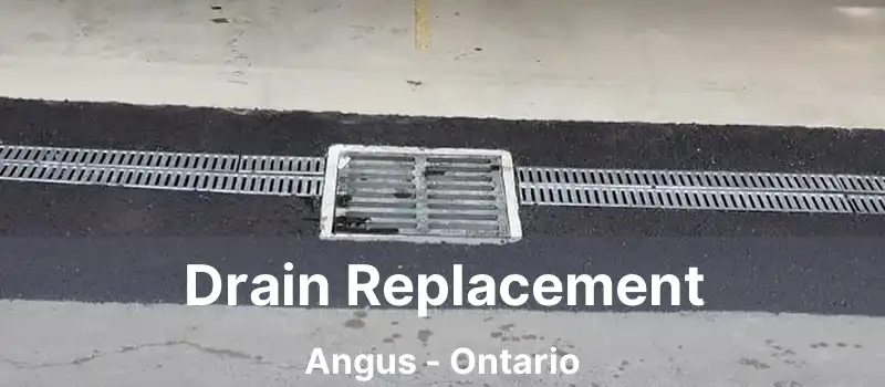 Drain Replacement Angus - Ontario