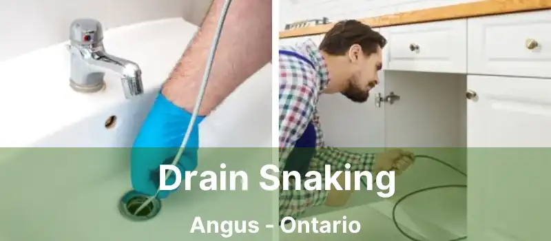  Drain Snaking Angus - Ontario