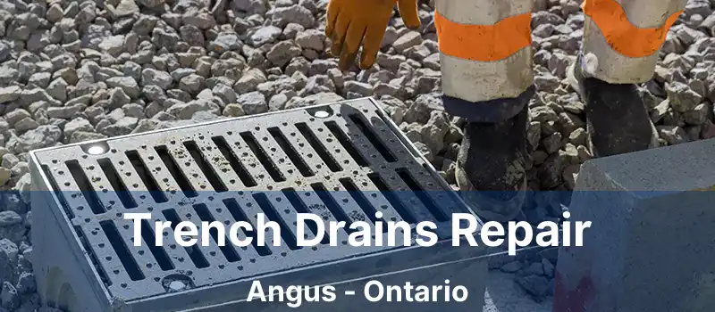 Trench Drains Repair Angus - Ontario