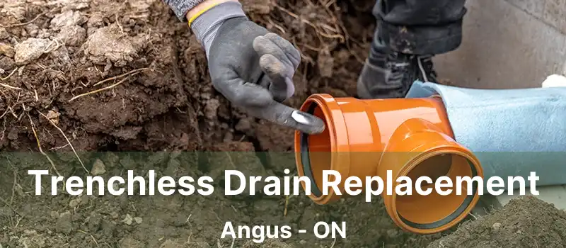  Trenchless Drain Replacement Angus - ON